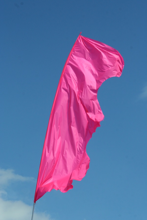pink festival flag