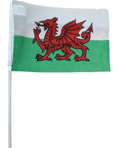 Printed Wales Dragon hand flags for national events