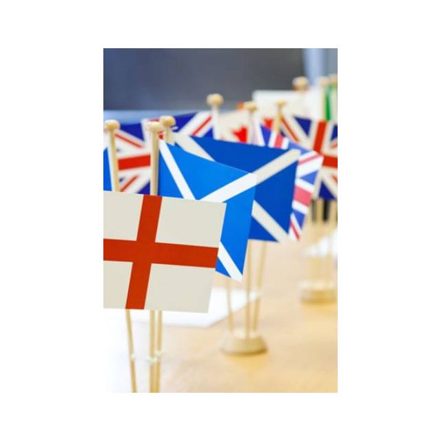 National Synthetic Paper Table Flags