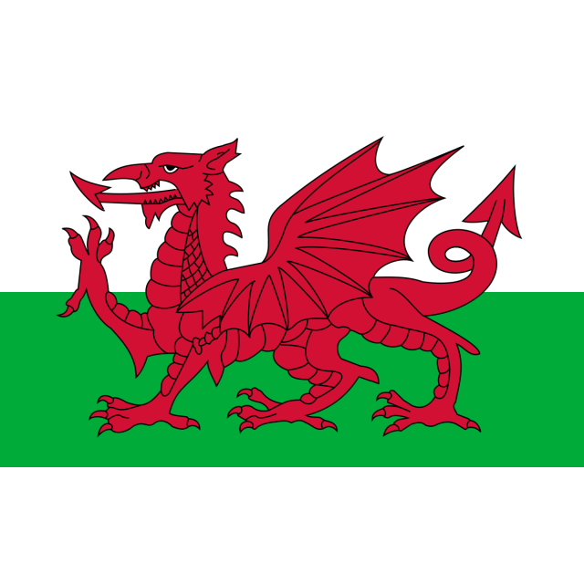 Welsh Flag
