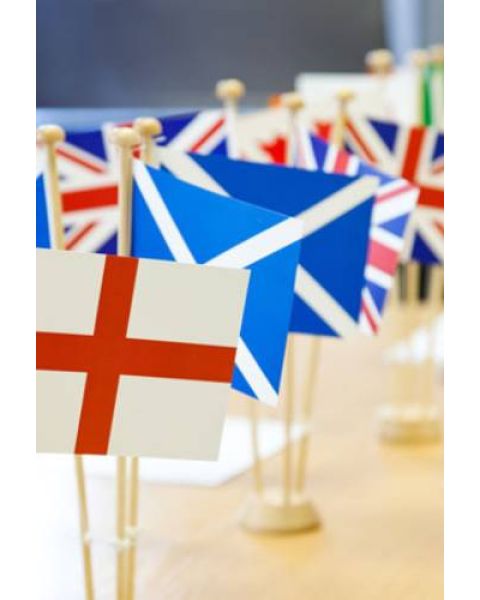 National Synthetic Paper Table Flags