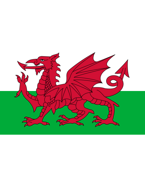 Welsh Flag