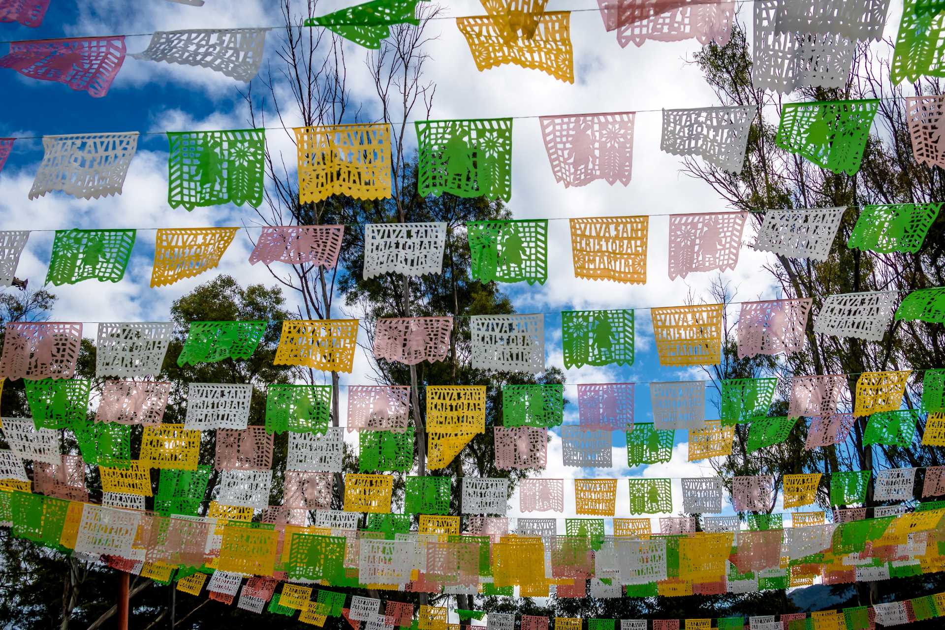 branded bunting, bunting can help in creating a captivating visual appearance owing to its vibrancy and tailored messaging.