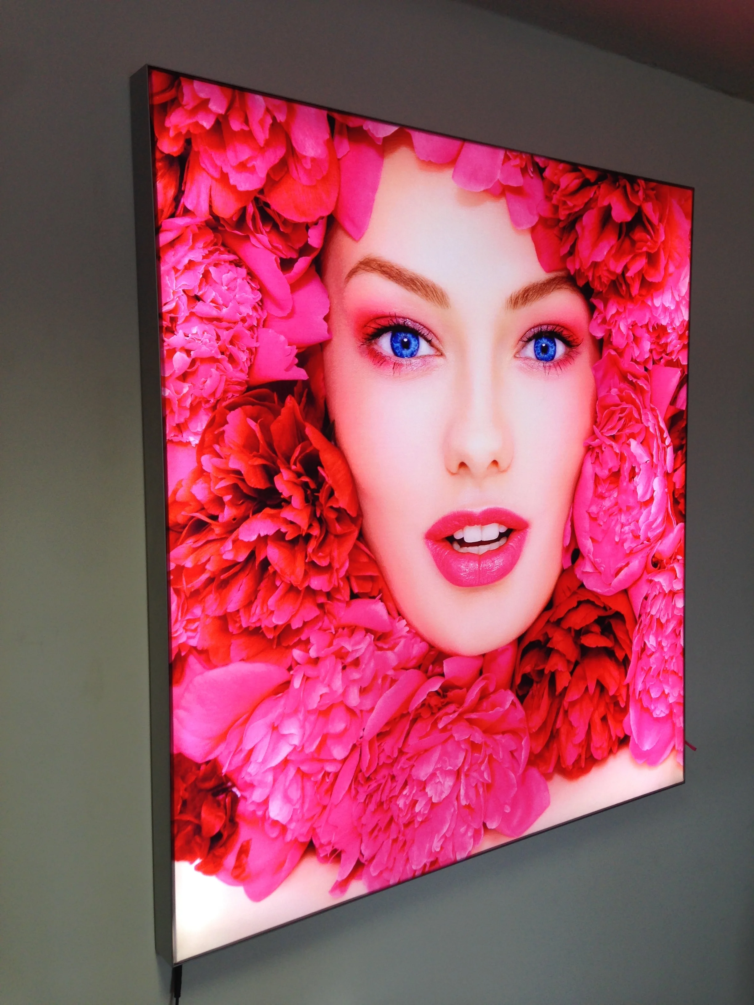 portable lightboxes, elevate your marketing experience with lightboxes