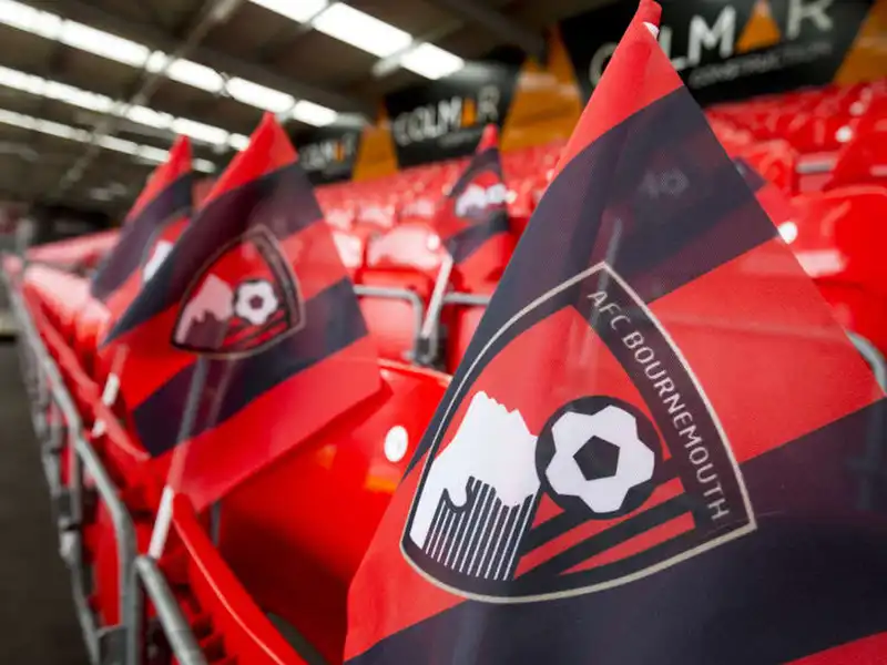 Eco Handwaving Flags