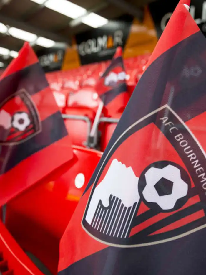 Custom Handwaving Flags