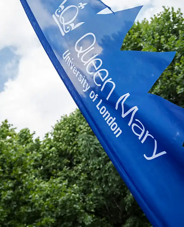 Festival Branding Products