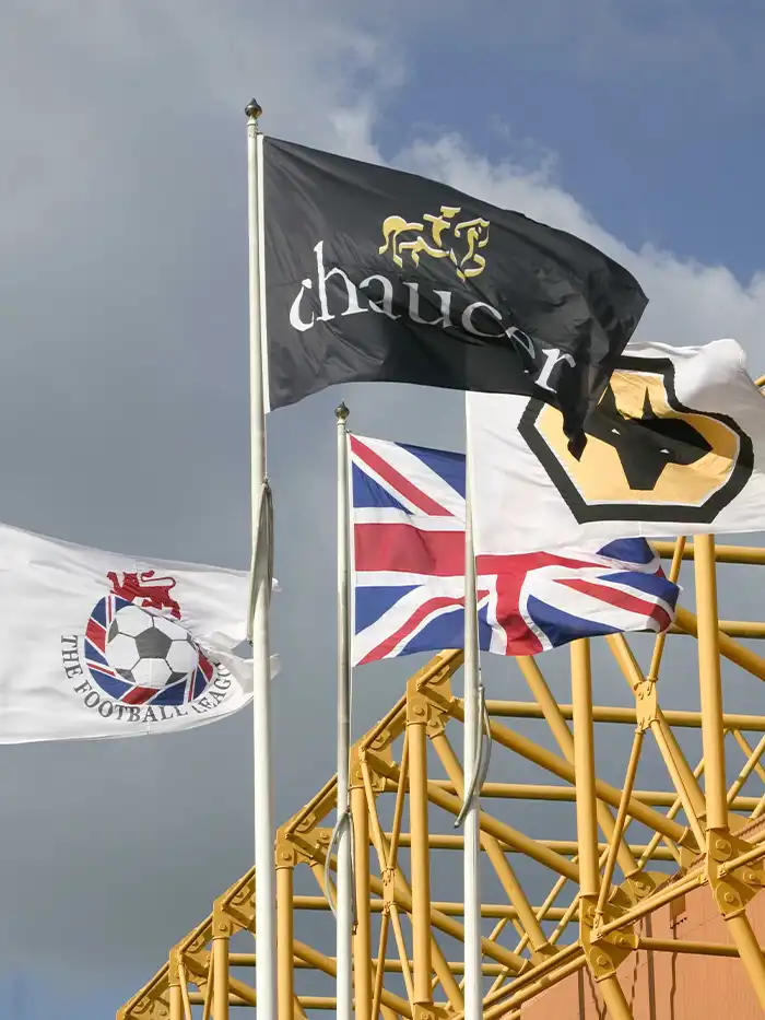 Polymesh Custom Flags