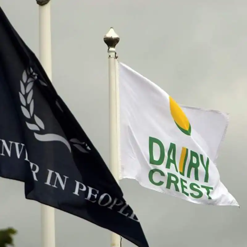 Polymesh Custom Flags