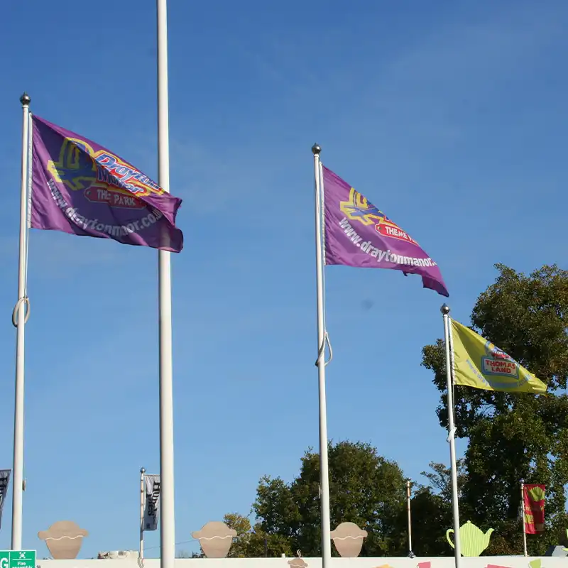 Polymesh Custom Flags