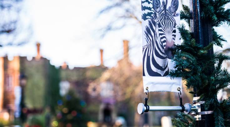 Lamp Post Banner Arms