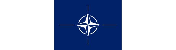NATO Flag