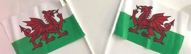 Welsh 68D Polyester Handwaver