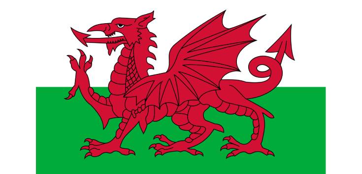 Welsh Flag