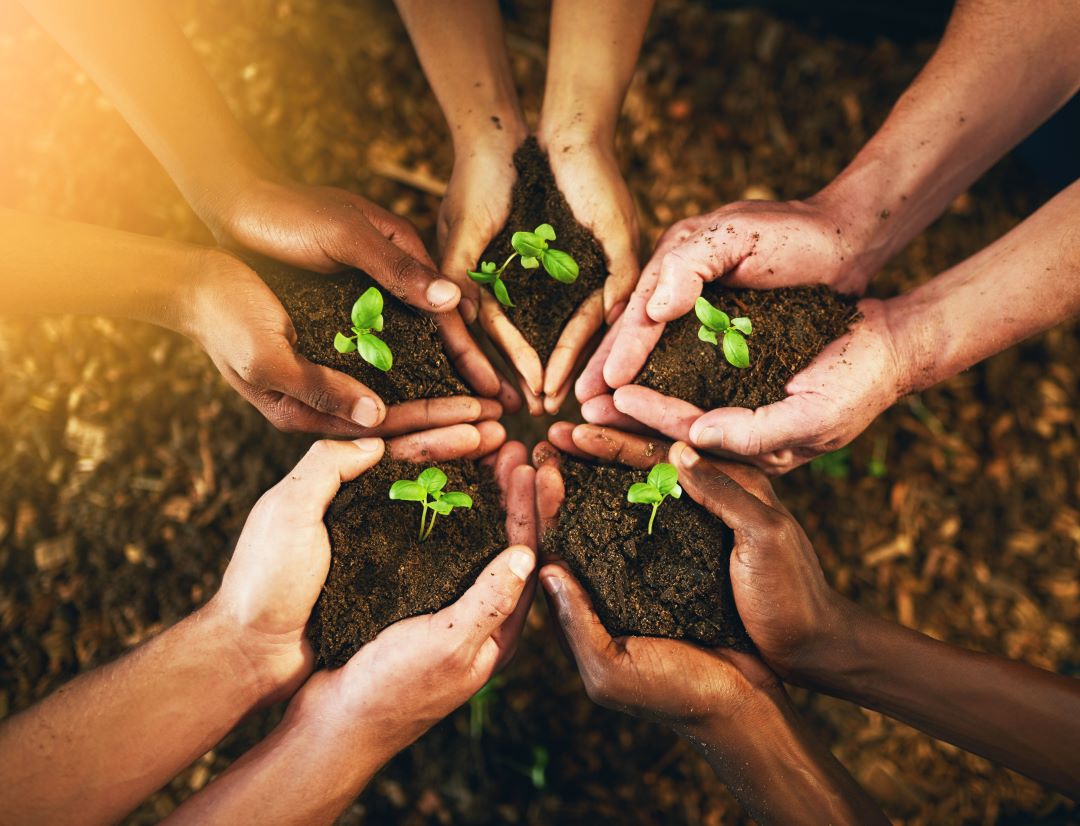 green marketing, a closeup shot of a group of people holding plants growing out of soil