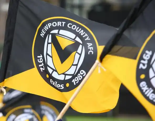 Custom Handwaving Flags