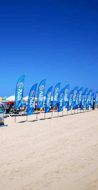 ECO Feather Flags