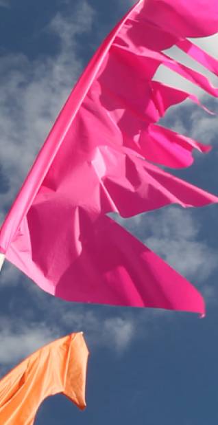 Festival Flags