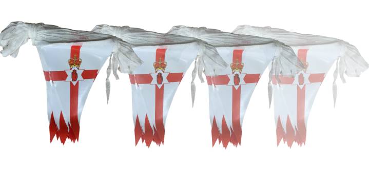 Hand of Ulster bunting
