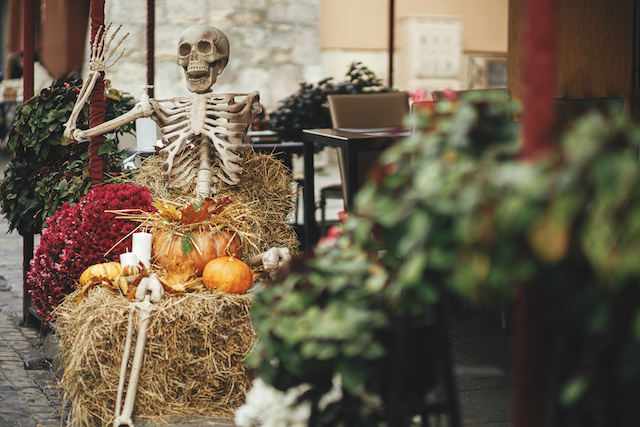 Halloween decorations for shops, skeleton decoration with pumpkins.