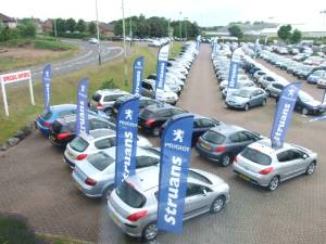 Strauss Curved Auto Flags